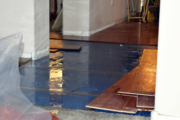 Professional Burst Pipe Water Damage technician working in Danbury, CT